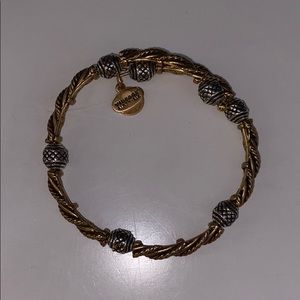 Two Tone Alex and Ani